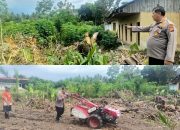 Luar Biasa Komandan, Polsek Siak Hulu Sulap Lahan Kosong Semak Belukar Menjadi Kebun Holtikultura