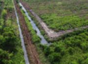 Harus Transparansi Pada Pembayaran Ganti Rugi Lahan, DPP G3S Surati BPKAD Dan Dinas Pertanahan Kota Pekanbaru