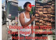 Gembong Mafia Kayu Ilegal Diduga Inisial AR Bersama 1 Unit Mobil Dengan Truk Bermuatan, APH Diminta Tindak Tegas.