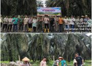 Asta Cita Presiden RI, Kapolsek Siak Hulu Bersama Danramil 06/Siak Hulu Pimpin Giat Program Penanaman Jagung Pipil Di PT. Agro Abadi-I