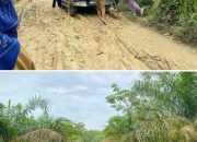 Alhamdulillah.., Kadis PUPR Kampar Tinjau Lokasi Fasilitas Jalan Rusak Menuju SMAN 4 Siak Hulu