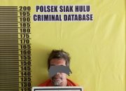 Lagi Lagi, Unit Reskrim Tim Opsnal “Hantu Malam” Polsek Siak Hulu Tangkap Pengedar Sabu Sabu Berat 12,67 Gram Di Desa Teratak Buluh