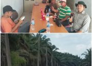 Kelompok Tani Kenegerian Buluh Nipis Berharap Dapat Mengelola Seluruh Kebun PT. SAL (Ayau) Yang Disita/Dirampas PT. Agrinas Palma Nusantara