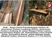 Terkait Pembalakan Liar, Hutan Lindung Koto Lamo Diduga Dibabat Habis, Warga Terancam Longsor dan Banjir