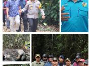 Ketua KNPI Riau Apresiasi Sikap Tanggap Kapolda Irjen Herry Heryawan, Total Usut Kematian Seekor Gajah