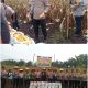 Panen Jagung Pipil di Kampar Kiri Hilir, Wujud Dukungan Swasembada Pangan 2026