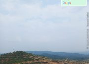 Ormas LCI Somasi Dugaan Penguasaan Lahan Ilegal ±600 Hektare Kebun Sawit di Kawasan Hutan Negara Kampar Kiri