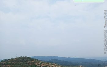 Ormas LCI Somasi Dugaan Penguasaan Lahan Ilegal ±600 Hektare Kebun Sawit di Kawasan Hutan Negara Kampar Kiri