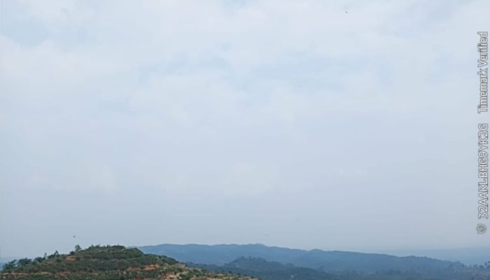 Ormas LCI Somasi Dugaan Penguasaan Lahan Ilegal ±600 Hektare Kebun Sawit di Kawasan Hutan Negara Kampar Kiri