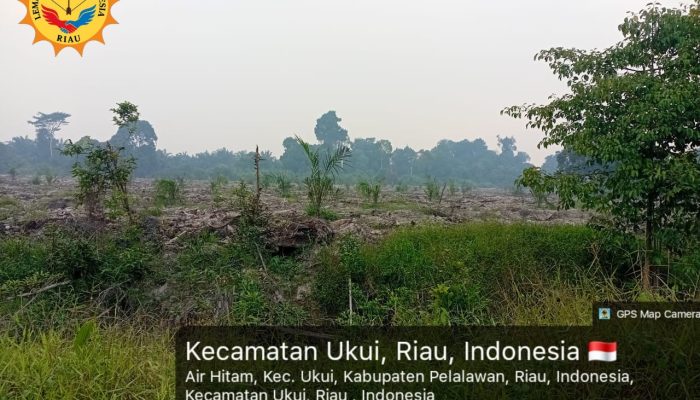 Dua Dokumen Negara yang Tidak Bisa Dibantah : BPN Pusat dan Wakil Bupati Pelalawan Sudah Bicara, Lahan 2.050 Hektar Milik Masyarakat Desa Air Hitam