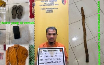 Gerak Cepat..! Unit Reskrim Polsek Perhentian Raja Tangkap Pembunuh Pengumpul Brondolan Sawit di Sialang Kubang