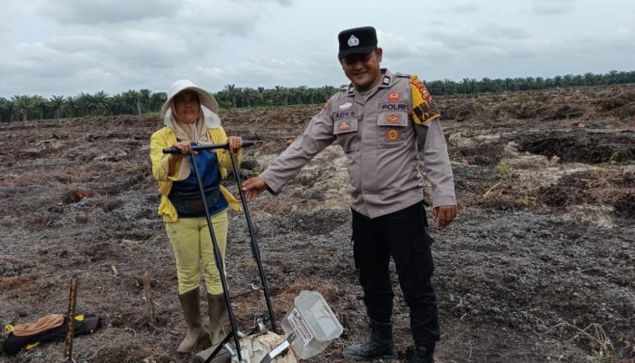 Bhabinkamtibmas Pangkalan Baru Polsek Siak Hulu Cek Lahan Jagung Pipil Kuartal-II, Dukung Ketahanan Pangan