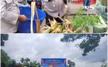 Polsek Kampar Bersama Polres Kampar Gelar Panen Jagung Pipil Serentak di Ranah Singkuang
