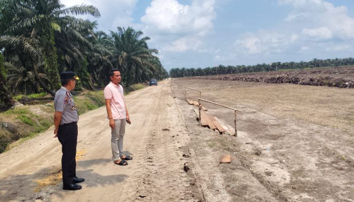 Dukung Ketahanan Pangan, Kapolsek Siak Hulu Cek Progres Kebun Jagung 10 Hektare di Pangkalan Baru