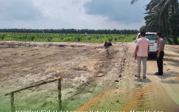 Kapolsek Siak Hulu Kembali Cek Lahan Jagung 10 Hektare di Pangkalan Baru, Pastikan Progres Tepat Target