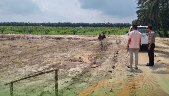 Kapolsek Siak Hulu Kembali Cek Lahan Jagung 10 Hektare di Pangkalan Baru, Pastikan Progres Tepat Target