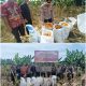 Polsek Siak Hulu Bersama Ponpes MIR Sukses Panen 1,3 Ton Jagung Pipil Dukung Ketahanan Pangan Nasional