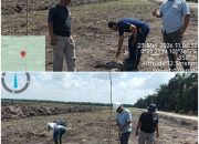 Polsek Siak Hulu Bersama Ponpes MIR Sukses Panen 1,3 Ton Jagung Pipil Dukung Ketahanan Pangan Nasional