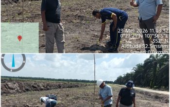Polsek Siak Hulu Bersama Ponpes MIR Sukses Panen 1,3 Ton Jagung Pipil Dukung Ketahanan Pangan Nasional