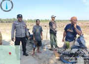 Polsek Siak Hulu Gesit Cek Progres Proyek Swasembada Pangan, Lahan 10 Hektar KOPPSA-M Rampung Ditanami