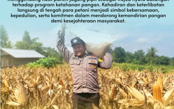 Bhabinkamtibmas Desa Pangkalan Baru Polsek Siak Hulu Tunjukkan Dukungan Nyata terhadap Ketapang melalui Panen Jagung Pipil
