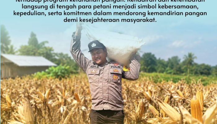Bhabinkamtibmas Desa Pangkalan Baru Polsek Siak Hulu Tunjukkan Dukungan Nyata terhadap Ketapang melalui Panen Jagung Pipil