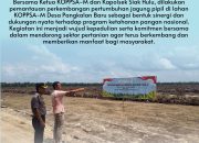 Kapolsek Siak Hulu Bersama Ketua KOPPSA-M Pantau Pertumbuhan Jagung Pipil di Desa Pangkalan Baru