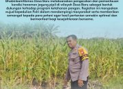 Bhabinkamtibmas Desa Baru Polsek Siak Hulu Aktif Dampingi Petani, Dukung Ketahanan Pangan Nasional di Desa Baru
