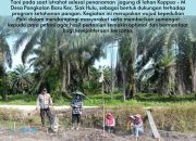 Polisi Cinta Petani, Bhabinkamtibmas Desa Pangkalan Baru Dampingi Kelompok Tani Tanam Jagung