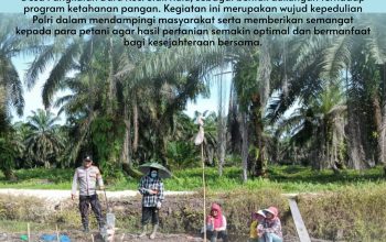 Polisi Cinta Petani, Bhabinkamtibmas Desa Pangkalan Baru Dampingi Kelompok Tani Tanam Jagung