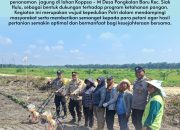 Polisi Cinta Petani, Jajaran Polsek Siak Hulu Dampingi Kelompok Tani Tanam Jagung Demi Ketahanan Pangan