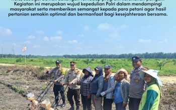 Polisi Cinta Petani, Jajaran Polsek Siak Hulu Dampingi Kelompok Tani Tanam Jagung Demi Ketahanan Pangan