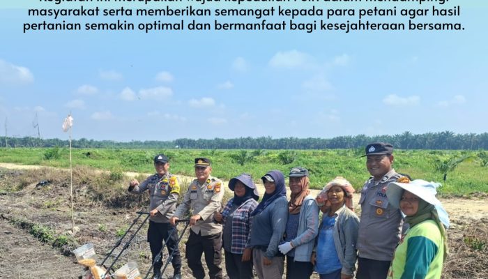 Polisi Cinta Petani, Jajaran Polsek Siak Hulu Dampingi Kelompok Tani Tanam Jagung Demi Ketahanan Pangan