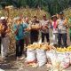 Polsek Kampar Kiri Hilir Panen Jagung Program Kapolda Riau,Sukses 0,25 Hektar Hasilkan 500 Kg