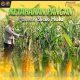Bhabinkamtibmas Desa Pandau Jaya Polsek Siak Hulu Dukung Ketahanan Pangan Nasional, Monitoring Penanaman Jagung Pipil