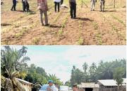 Kapolsek Cerenti Pastikan Program Ketahanan Pangan Desa Sikakak Berjalan Optimal