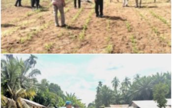 Kapolsek Cerenti Pastikan Program Ketahanan Pangan Desa Sikakak Berjalan Optimal