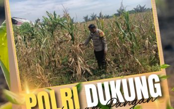 Sambangi Desa ke Lahan Pertanian, Bhabinkamtibmas Pandau Jaya Polsek Siak Hulu Perkuat Ketahanan Pangan