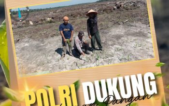 Bhabinkamtibmas Pangkalan Baru Polsek Siak Hulu Aktif Dampingi Petani, Pastikan Tanaman Jagung 10 Hektare Tumbuh Optimal