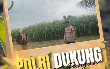 Sinergitas Komitmen Polri dan Petani, Bhabinkamtibmas Kepau Jaya Polsek Siak Hulu kawal ketahanan Pangan Desa