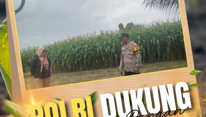 Sinergitas Komitmen Polri dan Petani, Bhabinkamtibmas Kepau Jaya Polsek Siak Hulu kawal ketahanan Pangan Desa
