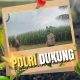 Sinergitas Komitmen Polri dan Petani, Bhabinkamtibmas Kepau Jaya Polsek Siak Hulu kawal ketahanan Pangan Desa