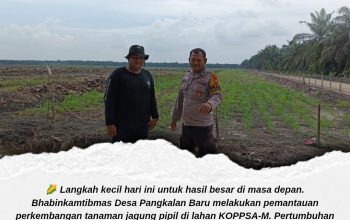 Pantau Tanaman Jagung di Lahan KOPPSA-M, Polsek Siak Hulu Kawal Swasembada Pangan Desa Pangkalan Baru