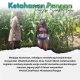 Bhabinkamtibmas Desa Tanah Merah Pantau Tanaman Jagung Pipil, Sukseskan Ketahanan Pangan Nasional