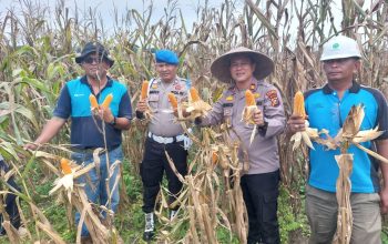 Lewat Program Polisi Cinta Petani, Polsek Tapung Hulu Salurkan Bantuan dan Kawal Swasembada Pangan