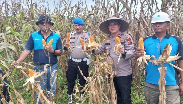 Lewat Program Polisi Cinta Petani, Polsek Tapung Hulu Salurkan Bantuan dan Kawal Swasembada Pangan