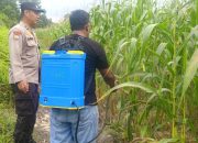 Sinergi dengan Kelompok Tani, Bhabinkamtibmas Kampung Jati Mulia Lakukan Penyemprotan Booster Jagung Pipil