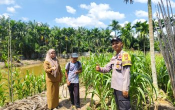 Sinergi dengan Pemerintah Kampung, Bhabinkamtibmas Gabung Makmur Lakukan Penyemprotan Hama Ulat Tanaman Jagung