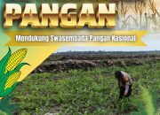 Pantau Pemeliharaan Jagung Pipil di Lahan KOPPSA-M, Bhabinkamtibmas Desa Pangkalan Baru Dukung Swasembada Pangan