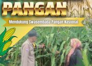 Pantau Pemeliharaan Jagung Pipil di Desa Tanah Merah, Bhabinkamtibmas Polsek Siak Hulu Perkuat Ketahanan Pangan